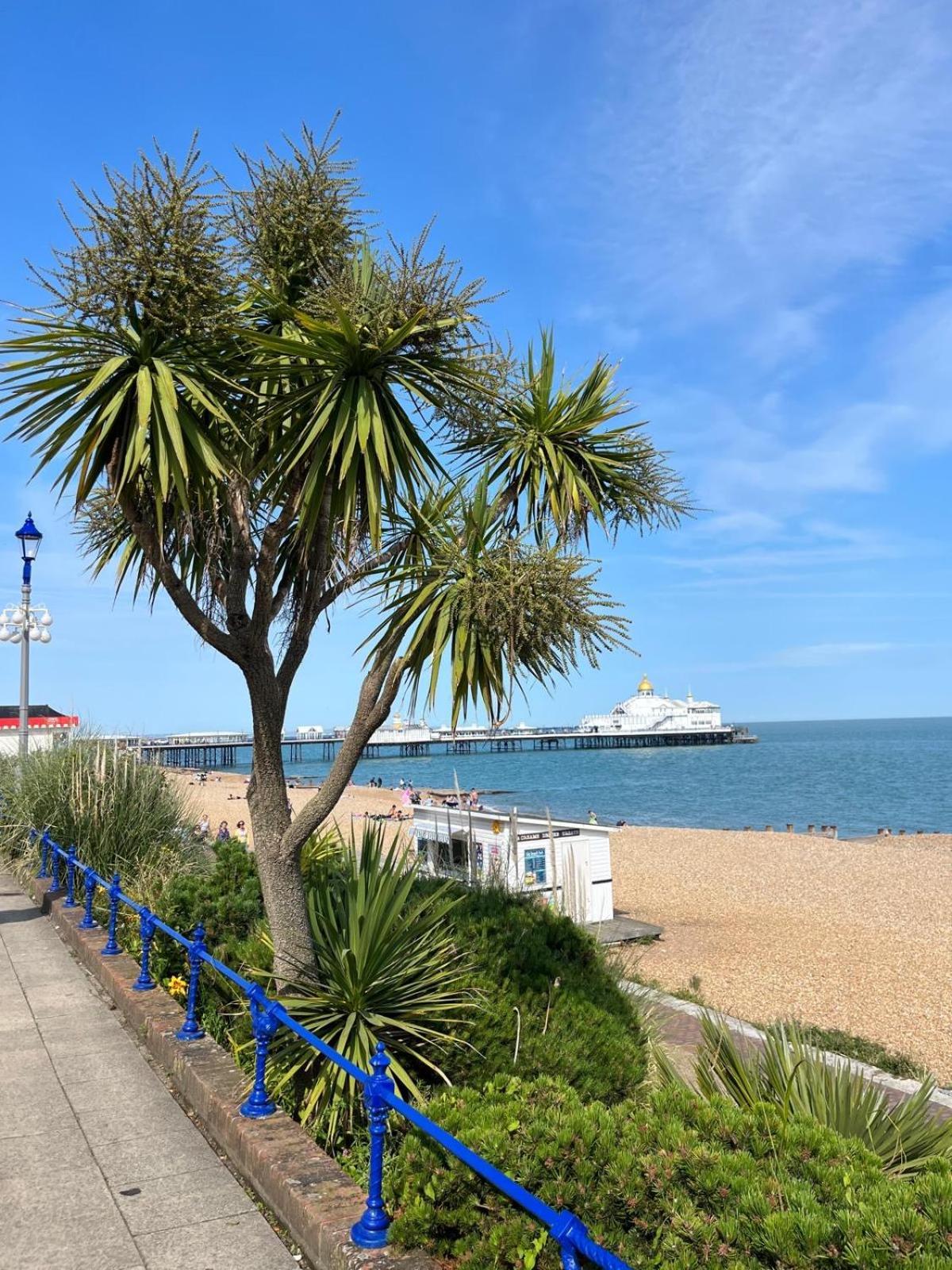 "The Italian" Seafront Apartment Eastbourne Zewnętrze zdjęcie